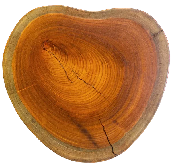Dahoma Masif Tabla 2 — Dahoma masif ahşap